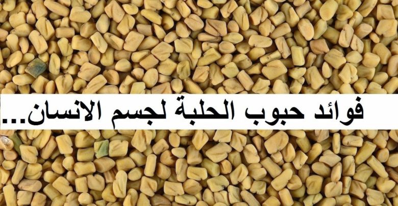 فوائد الحلبة لجسم الإنسان