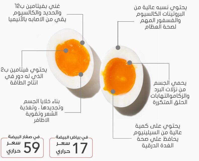 فوائد بياض البيض ووصفات طبيعية رائعة للشعر