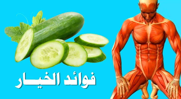 أهمية الخيار