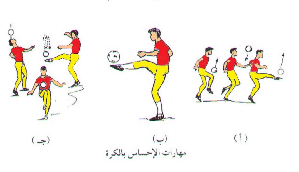 كيف اتعلم كرة القدم وقوانين اللعبة وفوائدها