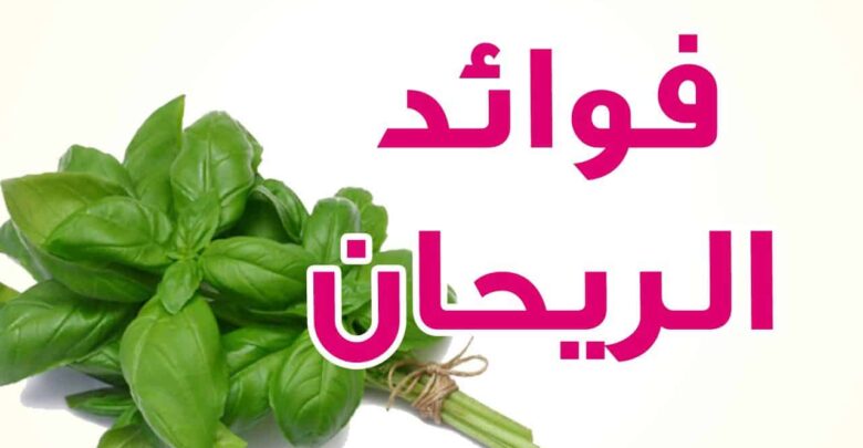 فوائد الريحان