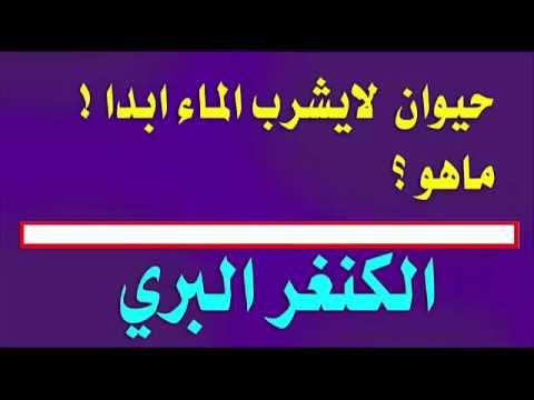 100 سؤال وجواب منوعة عن مختلف العلوم والمعارف مفيدة جدا