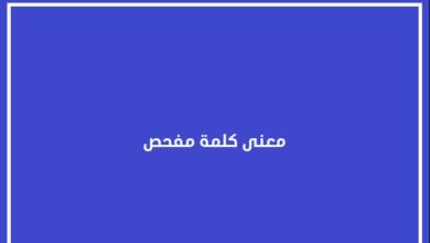 معنى كلمة مفحص قطاة في اللغة العربية وعلم الدلالة