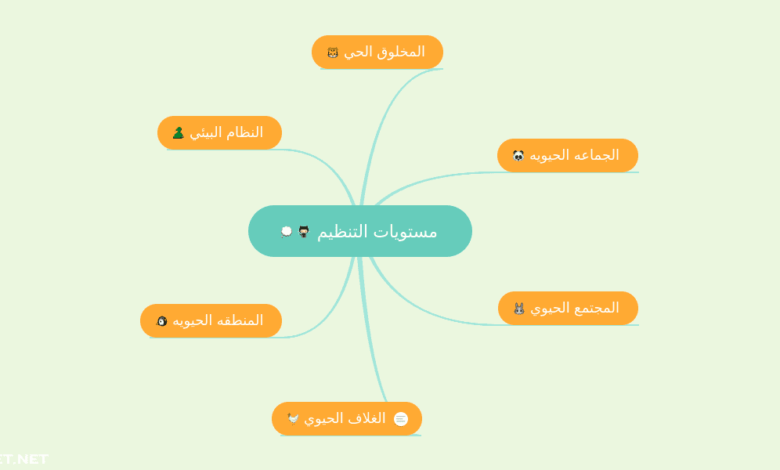 رتبي مستويات التنظيم في المخلوق الحي