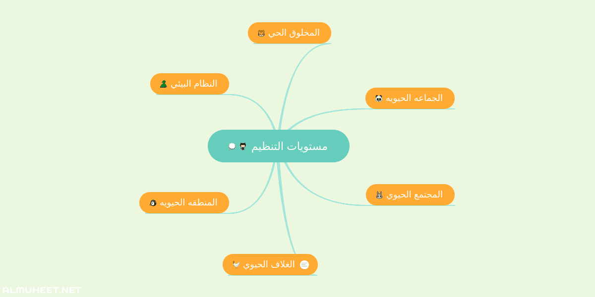 اكبر مستويات التنظيم الحيوي هو