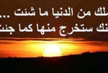 شعر عن الدنيا القاسية .. اصعب قصيدة عنة قسوة الحياه وتغير أحوالها