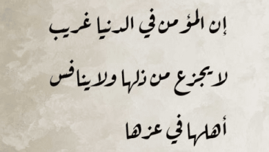 شعر عن الدنيا والناس .. ابيات شعر عن تغير أحوال الناس